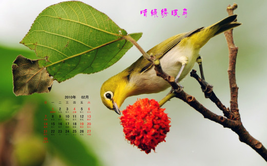 484636 (a): :1920x1200